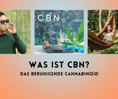 cannabinoid-cbn-im-beitrag