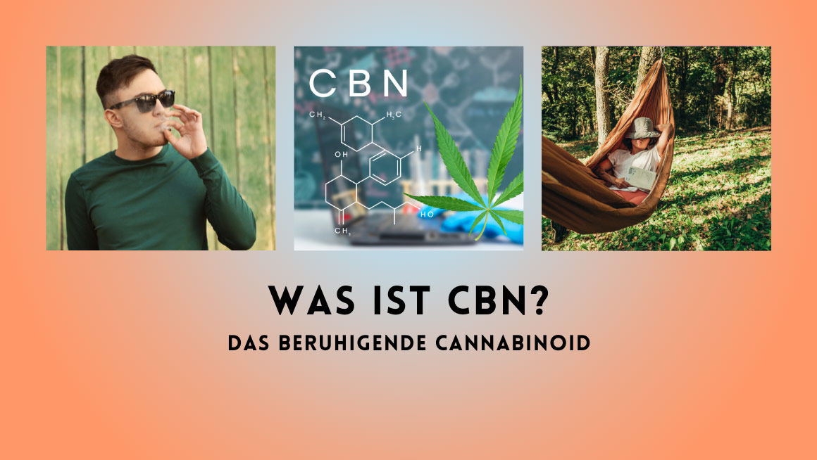 cannabinoid-cbn-im-beitrag