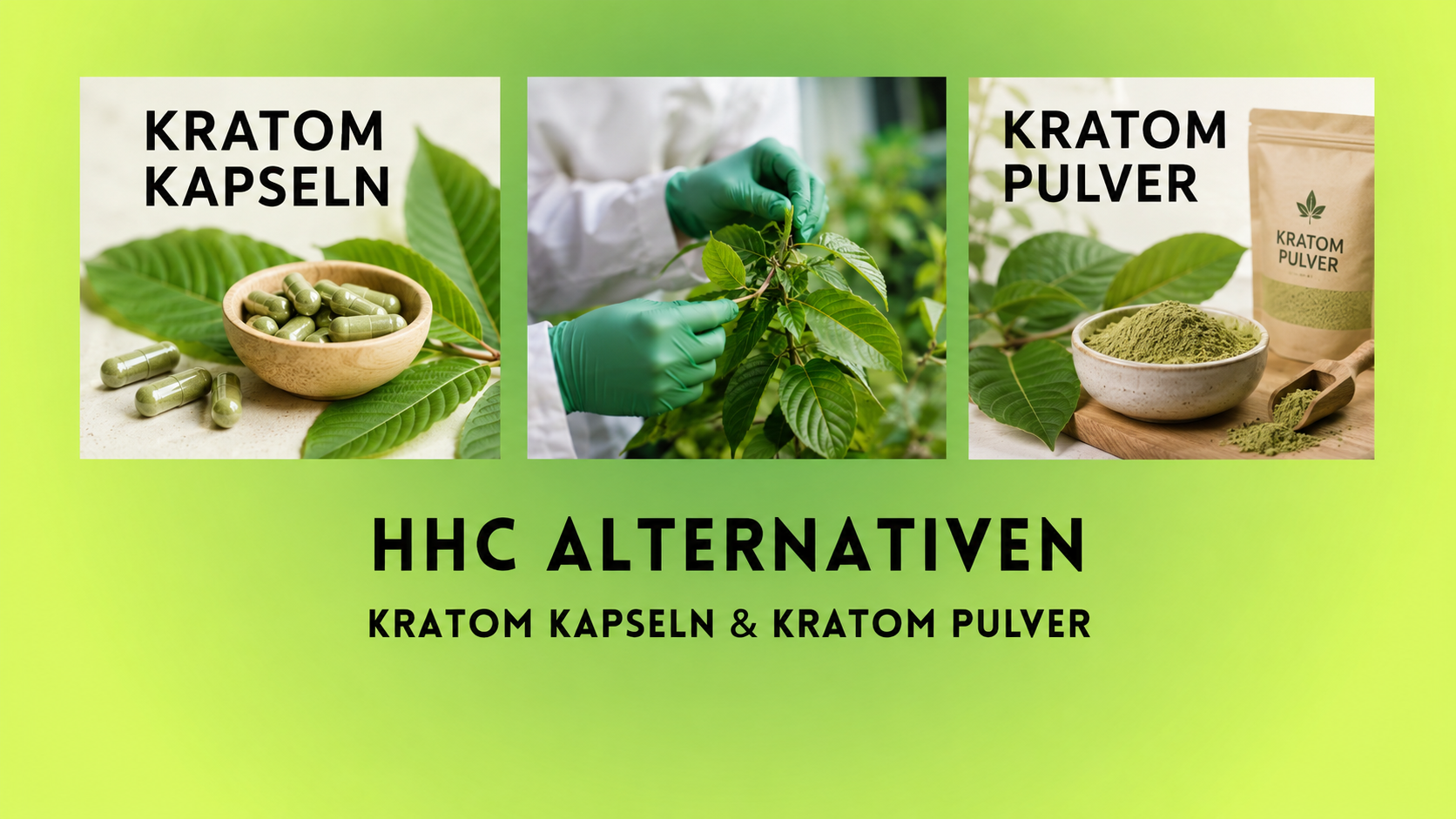 HHC Verbot in Europa. Ist Kratom eine gute Alternative?